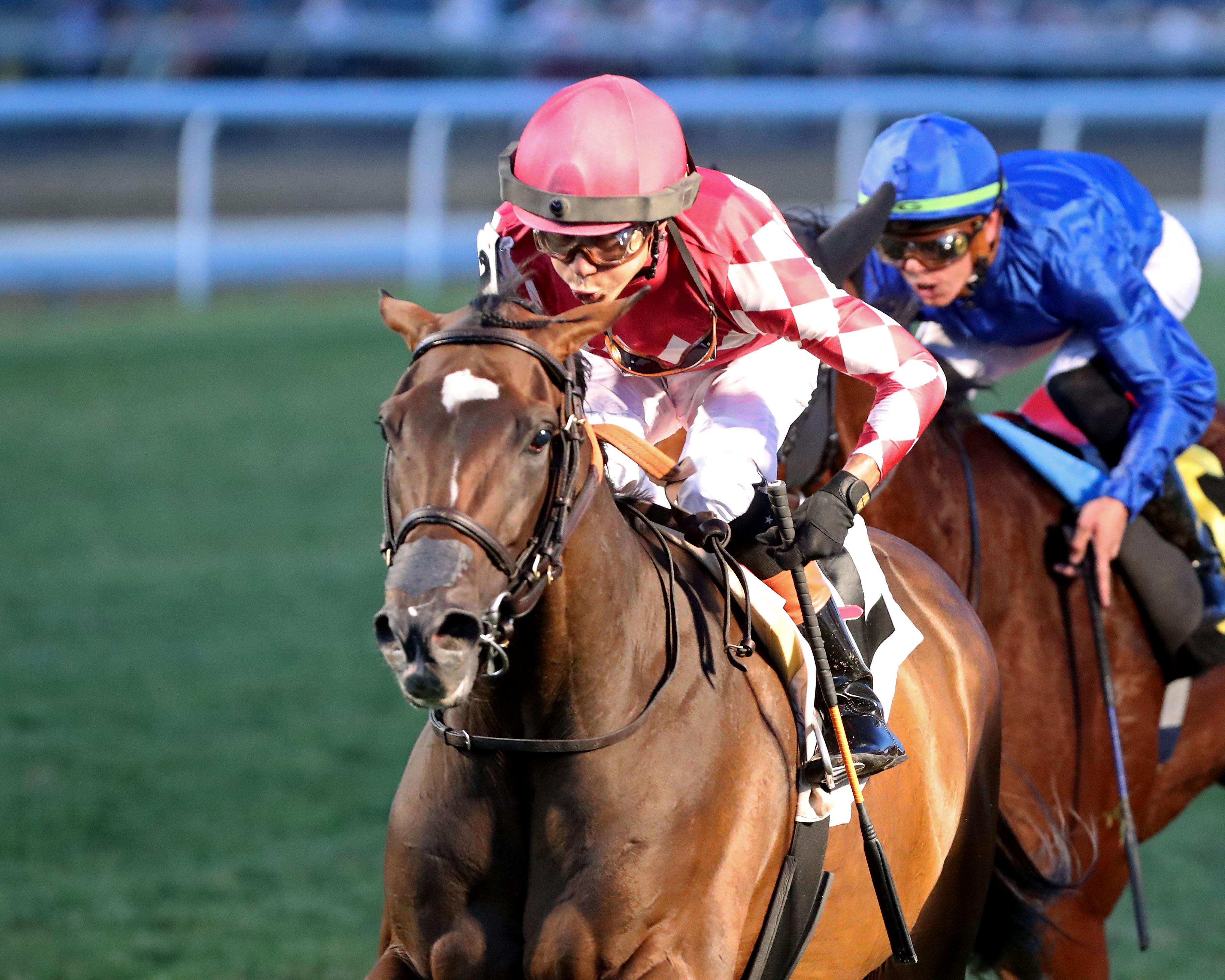 Webslinger, Bowling Green Stakes, Saratoiga Race Course, America's Best Racing, ABR, Horse Racing